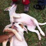IMG_0645 IMG_0645