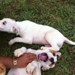 IMG_0647 IMG_0647