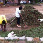 IMG_0669 IMG_0669