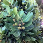 IMG_1148 IMG_1148