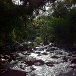 IMG_1162 IMG_1162