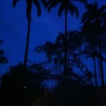 IMG_1163 IMG_1163