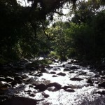 IMG_1161 IMG_1161