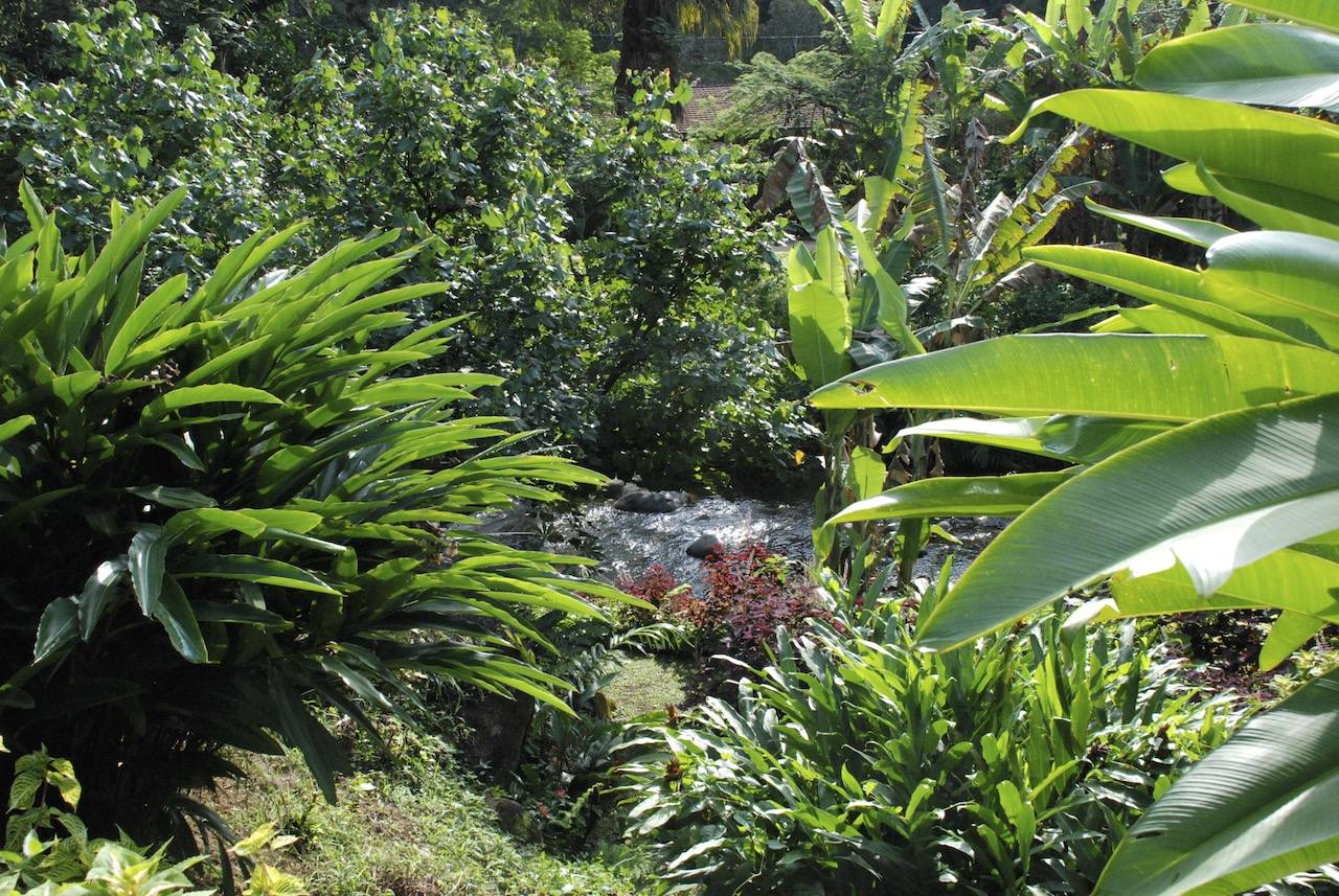 Jardim tropical com flores vermelhas no Casarão Penedo