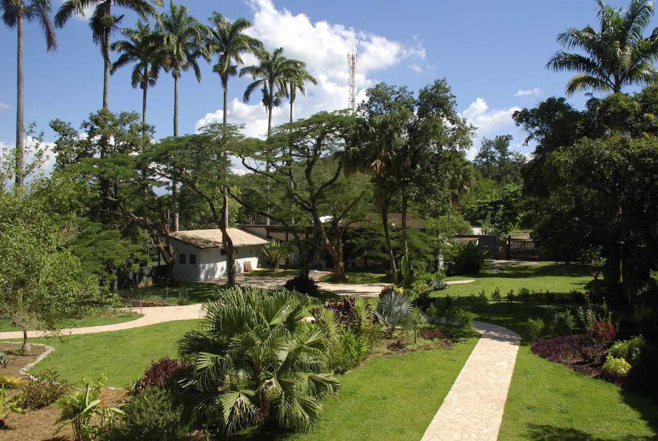 Jardins tropicais com palmeiras imperiais no Casarão Penedo
