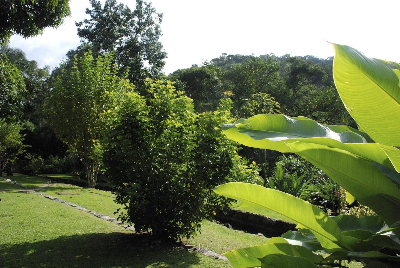 Jardins verdes tropicais do Casarão Penedo