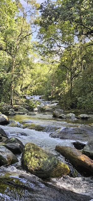 Rio com pedras na mata em Penedo, próximo ao Casarão Penedo