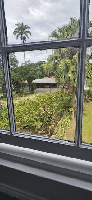 Vista para jardim tropical e palmeiras pela janela do Casarão Penedo